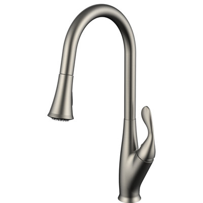 Daweier Pull Out Kitchen Faucet