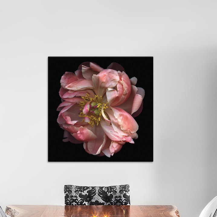 « wild thing », reproduction de photo sur toile tendue, H 18 po x l 18 po x P 1,5 po, Toile avec cadre noir, Pas de tapis