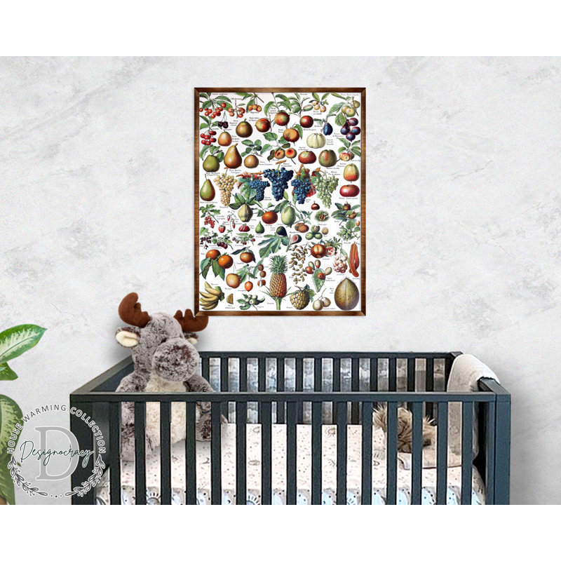 Art encadré de fruits de Goma, H 16 po x l 12 po x P 0,5 po