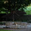 Cerena 300cm Lighted Cantilever Parasol-112459361