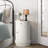 Chaim Side Table with Storage-14344259