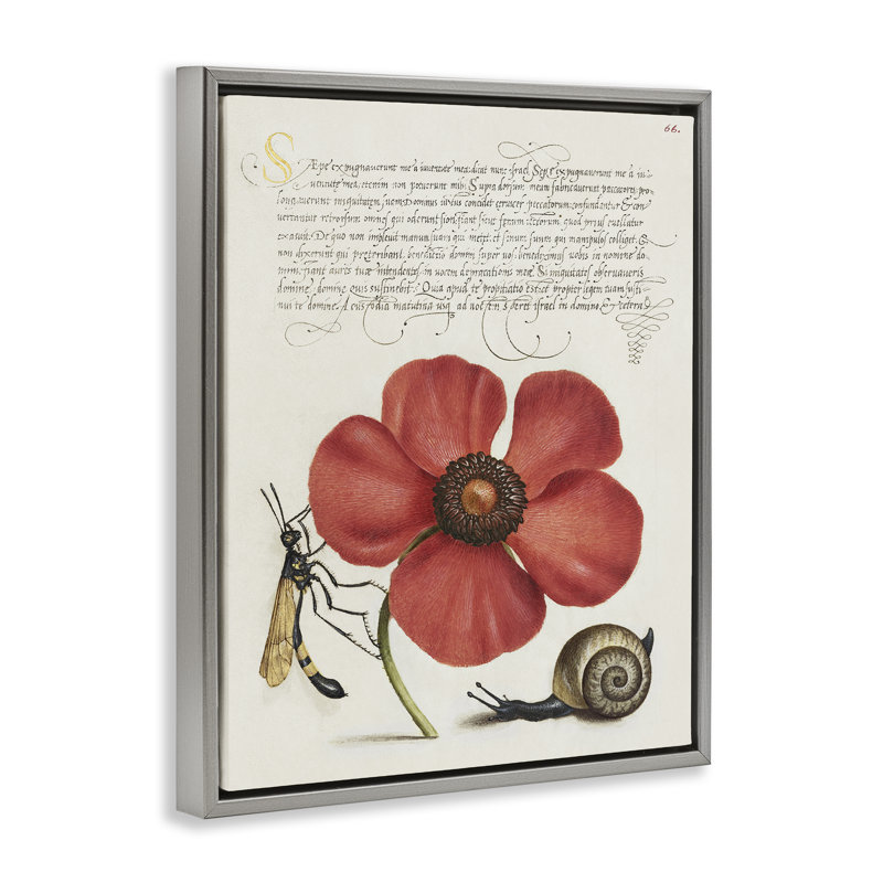 Art mural rétro sur toile encadrée d'insectes rétro par Joris Hoefnagel, Cadre flottant gris lustré, H 21 po x l 17 po