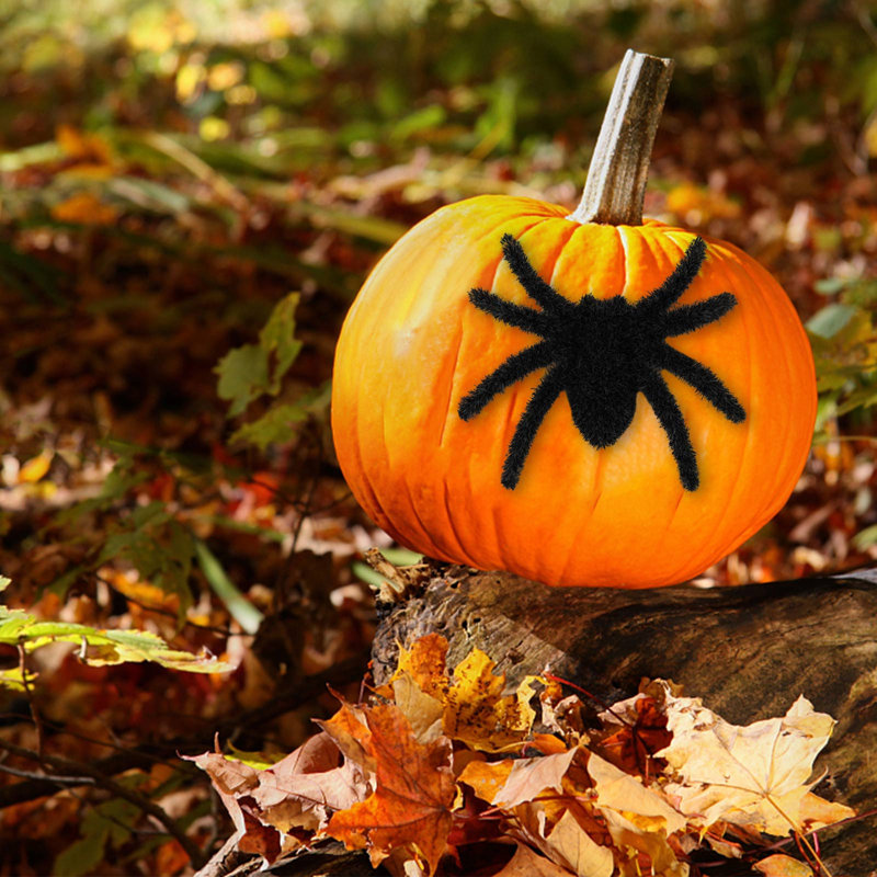 Décoration d'Halloween Halloween horreur floquée avec bavures, Black