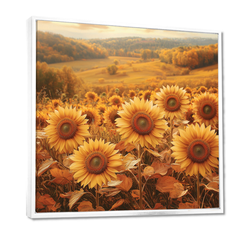 Drianna Country Side Sunflowers In Fall II - tournesols, art mural, Impression encadrée flottante, H 16 po x l 16 po, Blanc