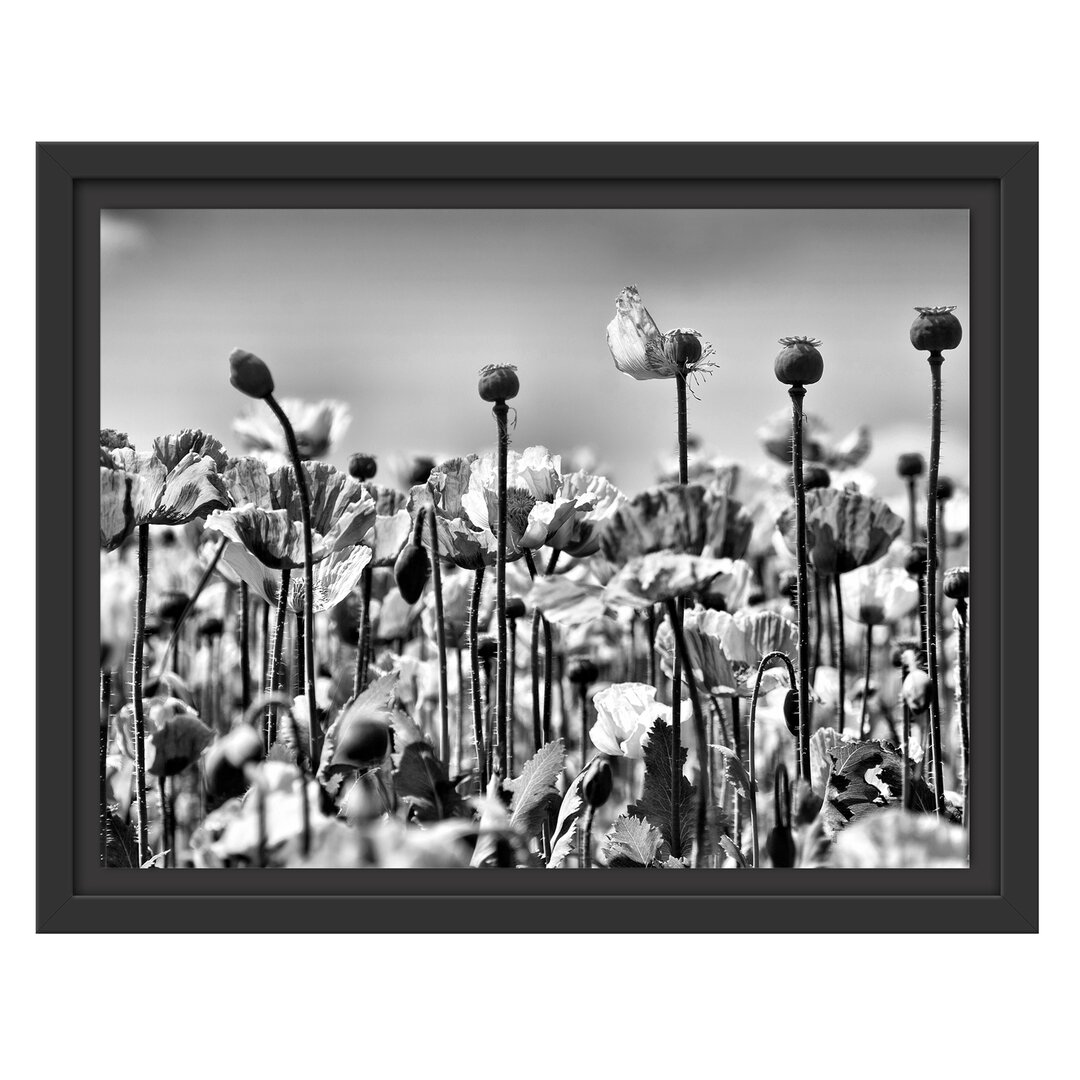 Gerahmtes Wandbild Blumenwiese Mohnblumen