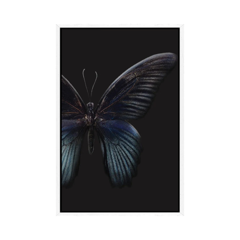 Black Butterfly On Grey - Painting on Canvas, White Framed, 66.04cm H x 45.72cm W x 3.81cm D