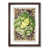 Walnut Framed