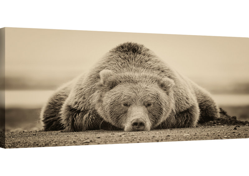 " Deep Sleep "