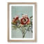 Tree Peony by Kazumasa Ogawa - Picture Frame Painting Print-55610975-55610976