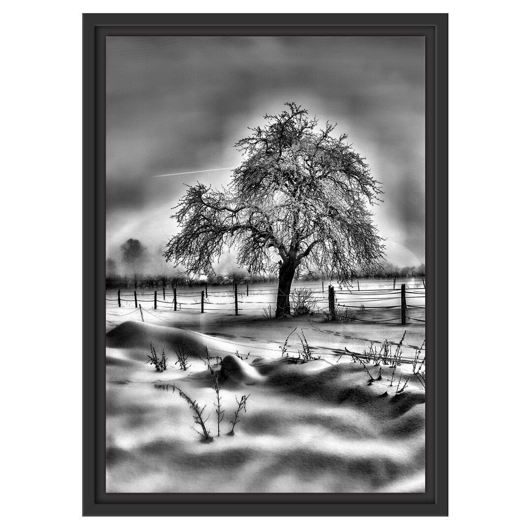 Gerahmtes Wandbild Baum in Winterlandschaft