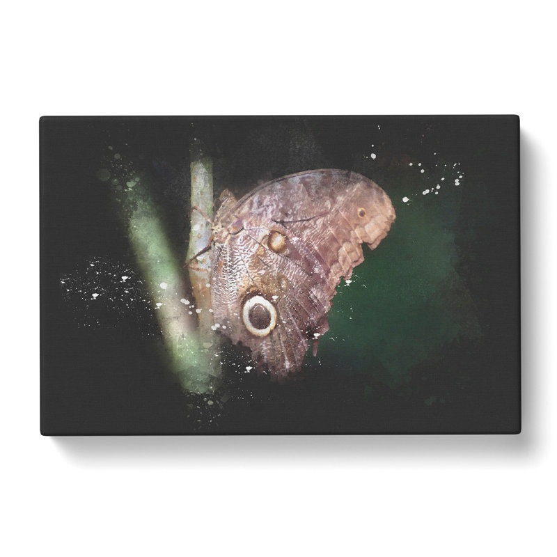 Beauty Of A Butterfly - Wrapped Canvas Print, 50cm H x 76cm W x 3cm D