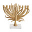 Palm Menorah-60496839