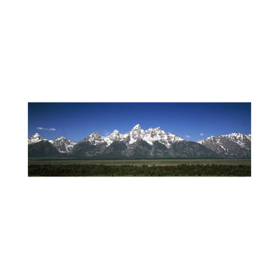 Trees In A Forest With Mountains In The Background, Teton Point Turnout, Teton Range - Wrapped Canvas Panoramic Print