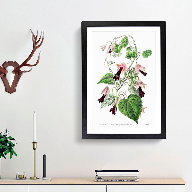 Purple Bell Vine Flowers - Framed Print, 36cm H x 27cm W x 2cm D, Black Framed