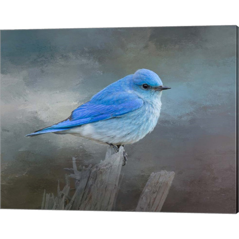 «Mountain Bluebird» par Larry Mcferrin, art mural sur toile