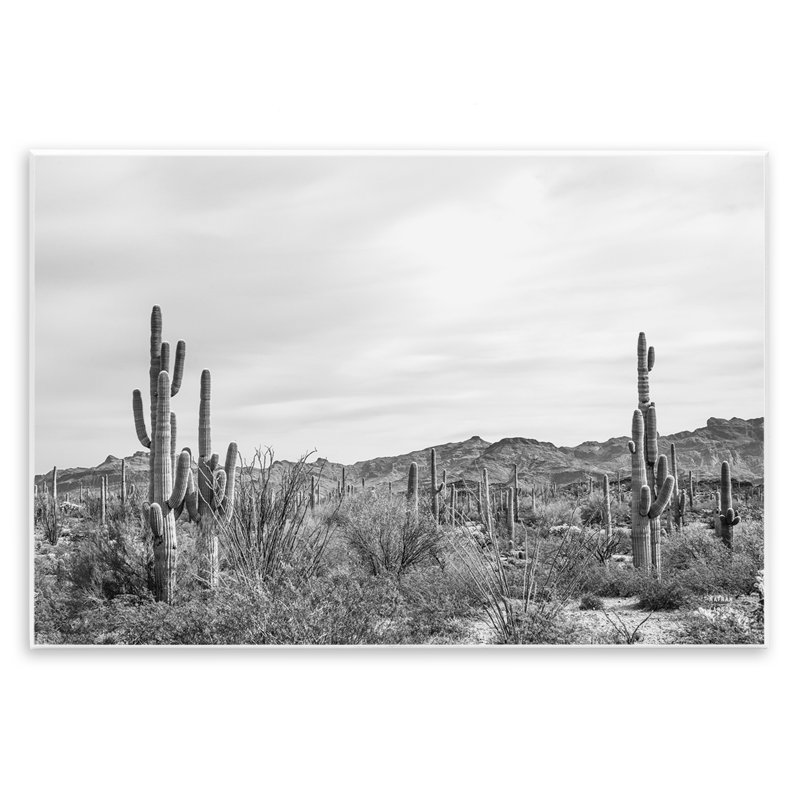 Art mural Sonoran Desert Wonderland par Nathan Larson, H 13 po x l 19 po