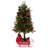 Lighted Christmas Tree