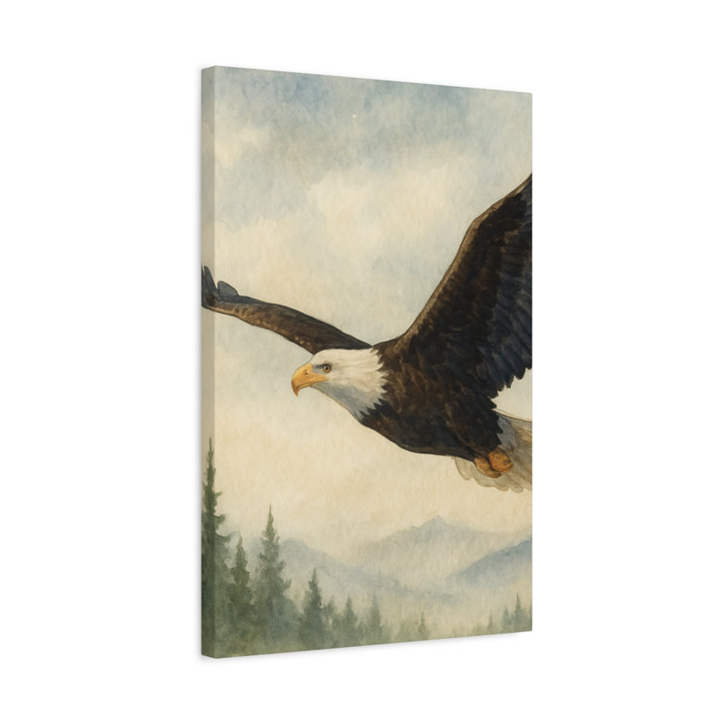 Aaroon Single Picture Frame Print on Canvas, 60.96 cm H x 40.64 cm W