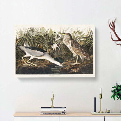 Night Heron - Wrapped Canvas Painting