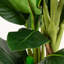 120cm Faux Real Touch Dieffenbachia