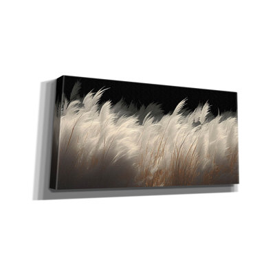 'White Feathers' by Decent Exposures Canvas Wall Art