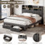 Darlita Upholstered Storage Bed-444938640