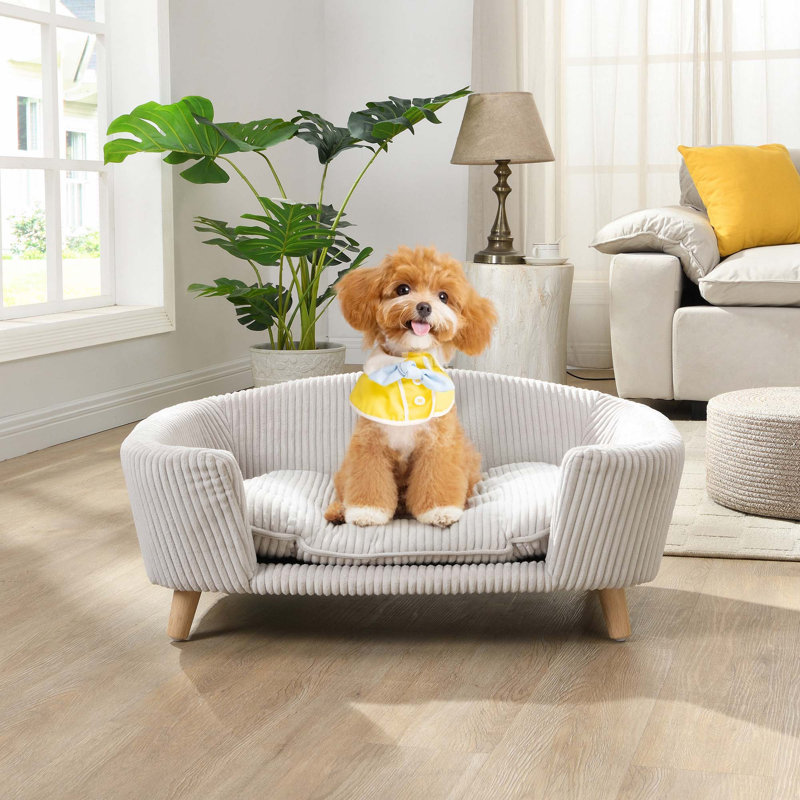 Cadre de lit pour chien surélevé pour petit chien, lit en velours côtelé avec pieds en bois d'hévéa, Beige