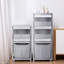 Plastic Rolling Laundry Sorter