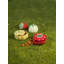 Strawberries Earthenware Tureen