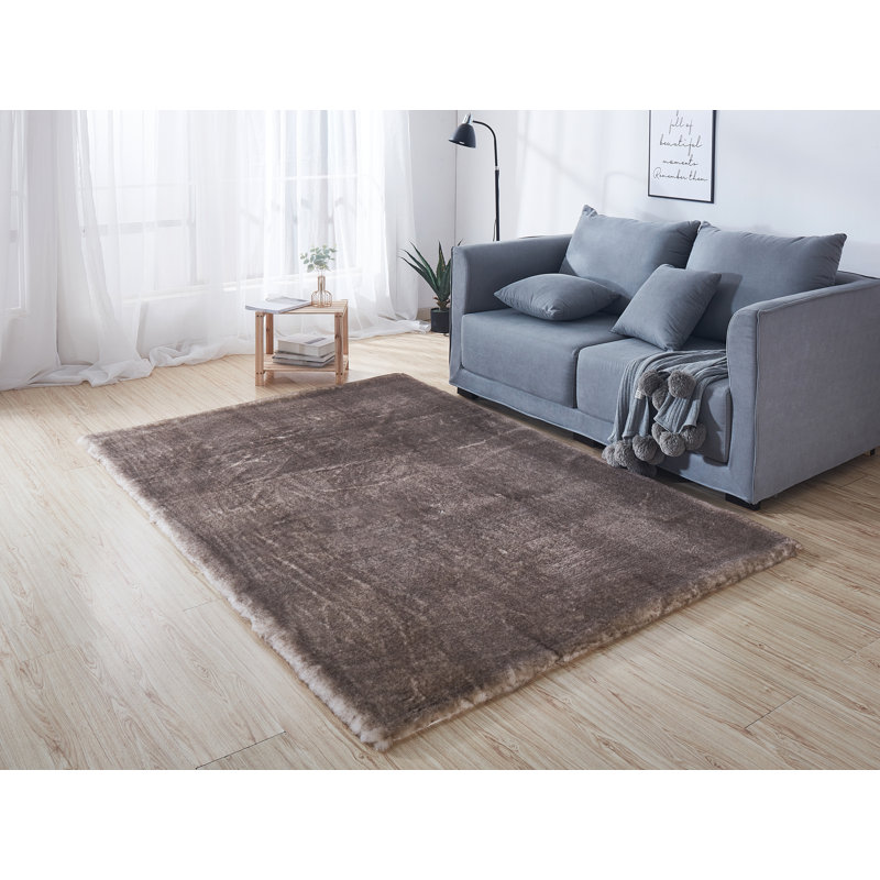 Tapis brun à longs poils