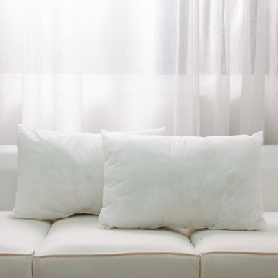 Pillow Insert