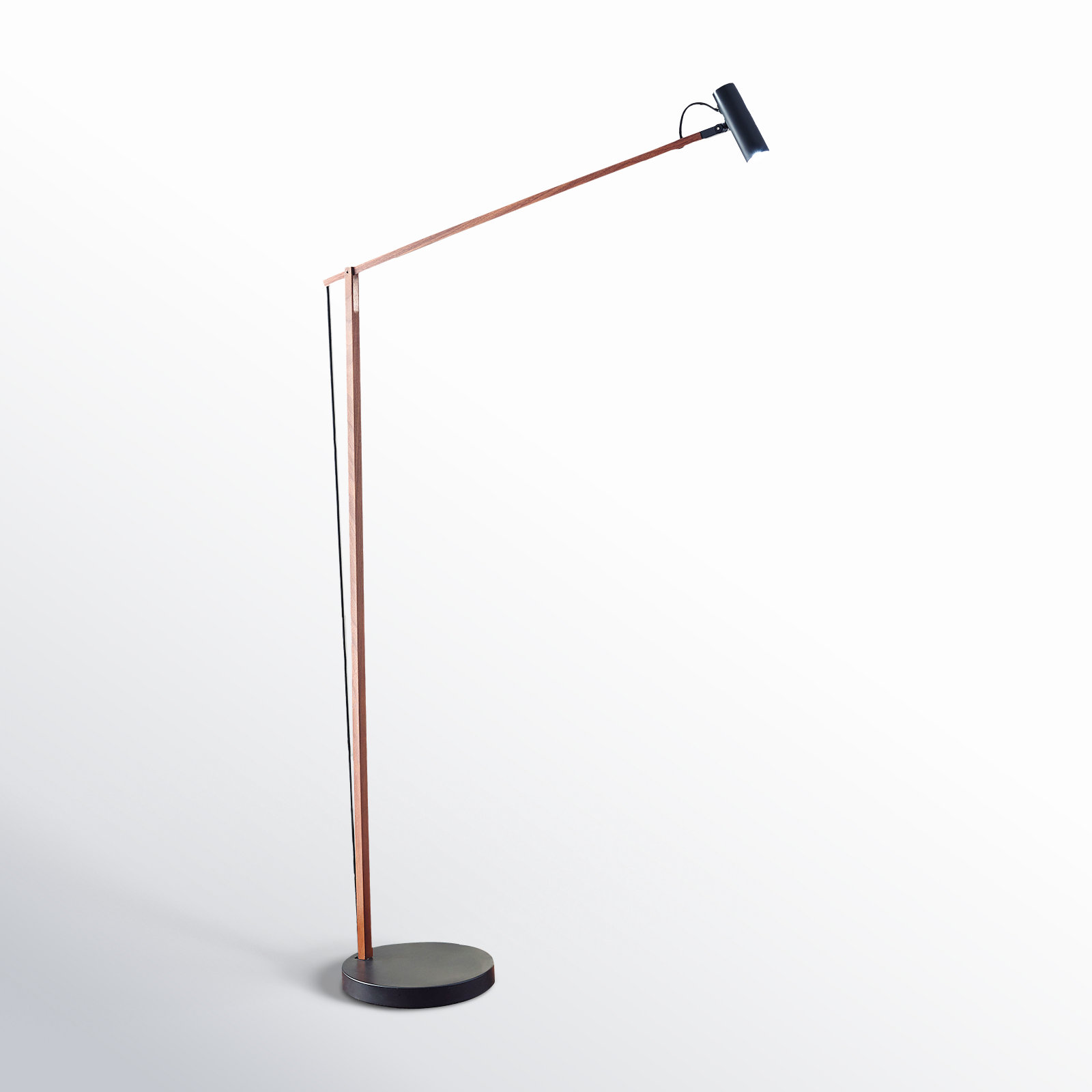 Dalila 60.5'' Dimmable LED Floor Lamp, Walnut Wood/Black