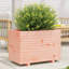 8 Wood Planter-100492034-100492038