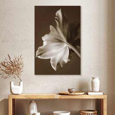 Harnek Moonglow Tulip