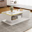Solid Coffee Table with Storage-450800039