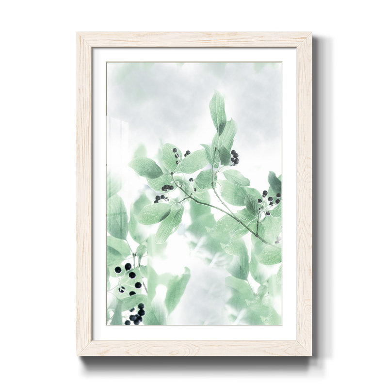 Berry Bright II - Reproduction d'art graphique sur papier encadré, H 31,5 po x l 23,5 po x P 1,5 po, Blanc