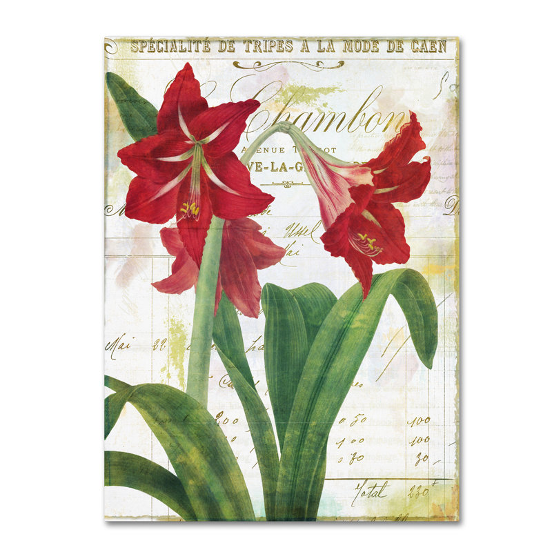 Jadaya «Peppermint Amaryllis» par Color Bakery, impression sur toile tendue, H 32 po x l 24 po x P 2 po