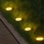 Paradise By NEX Satin Solar Powered Integrated LED Pathway Light Kit-80782282-80782279