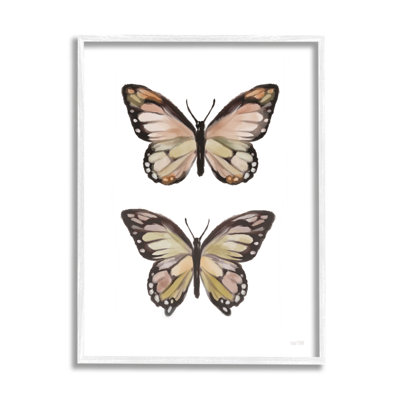 Ailes de papillon, insecte, art giclée par House Fenway