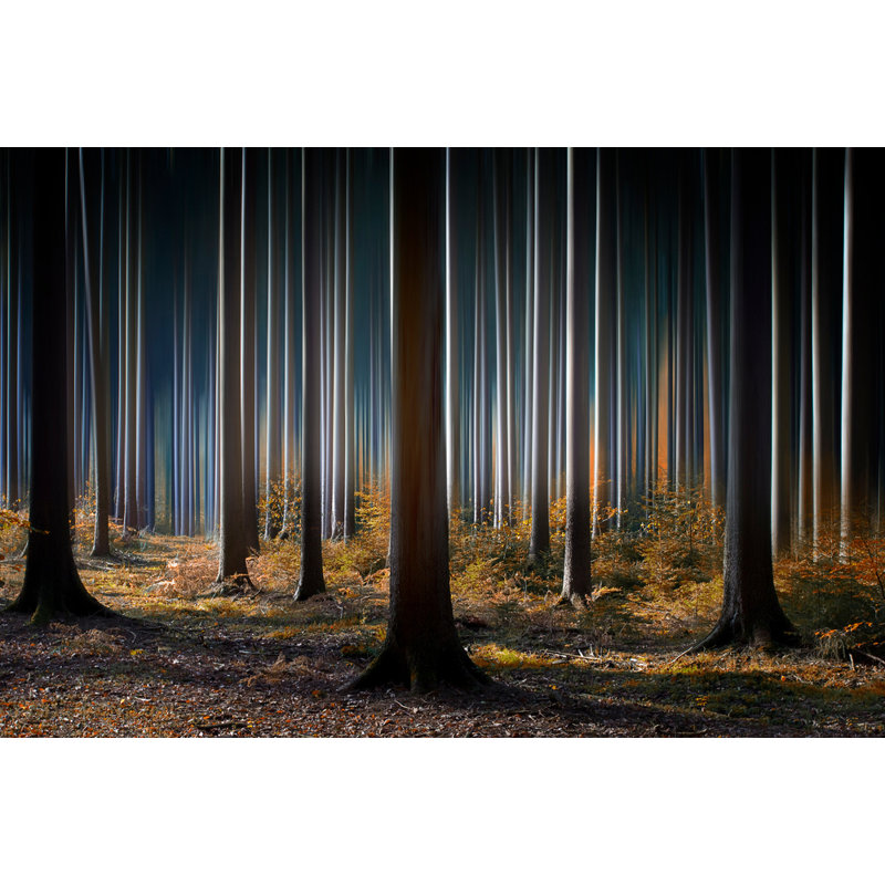 Wrapped Canvas Print, 91.44 cm H x 60.96 cm W