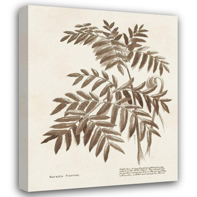«Red Barrel Studio® Inconnu», art sur toile tendue: sépia fougères II
