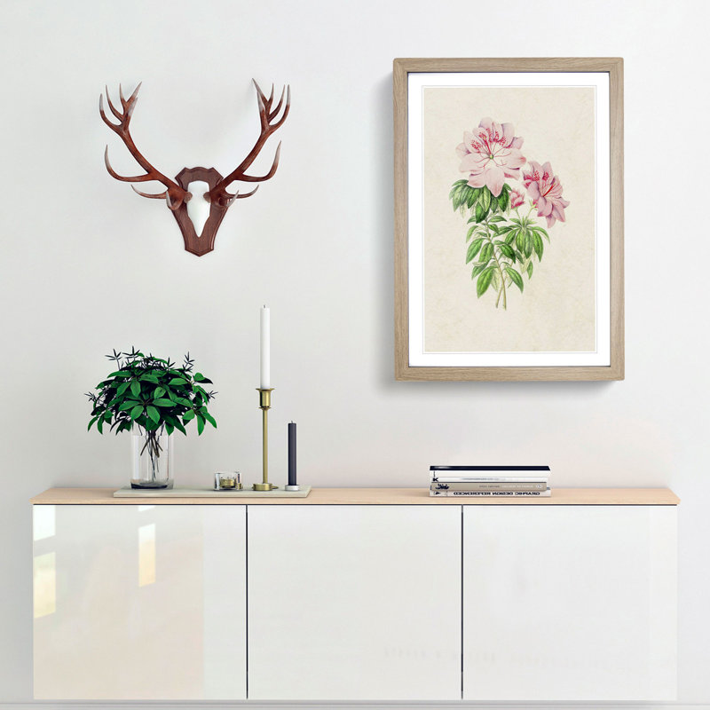 Pink Queen Victoria Azalea Illustration - Framed Print, 36cm H x 27cm W x 2cm D, Oak Framed