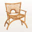 Chaise avec accoudoirs Callistus