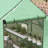 Greenhouse-98168462-98168463