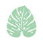 Monstera Trivet-853727164