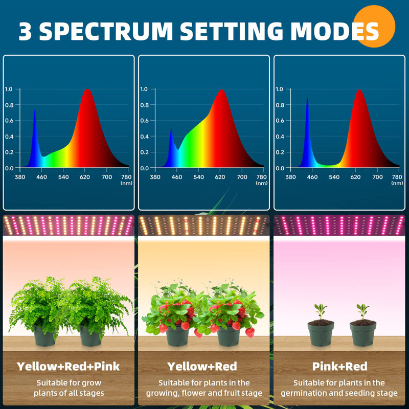 Éclairage de culture Barrina pour plantes d'intérieur, panneau de lumière ultra-mince à spectre complet 20 W (2 x 10 W) avec minuterie marche / arrêt automatique 3/6 / 12h pour la culture hydroponique, les semis, les plantes grasses, les légumes et plus, paquet de 2