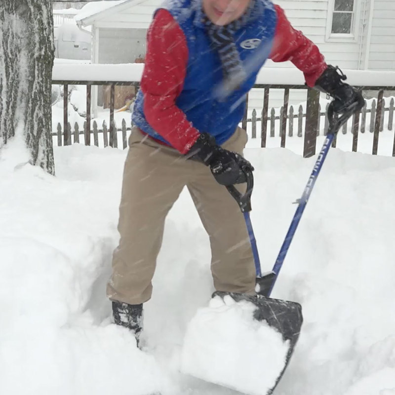 Snow Joe Shovelution  