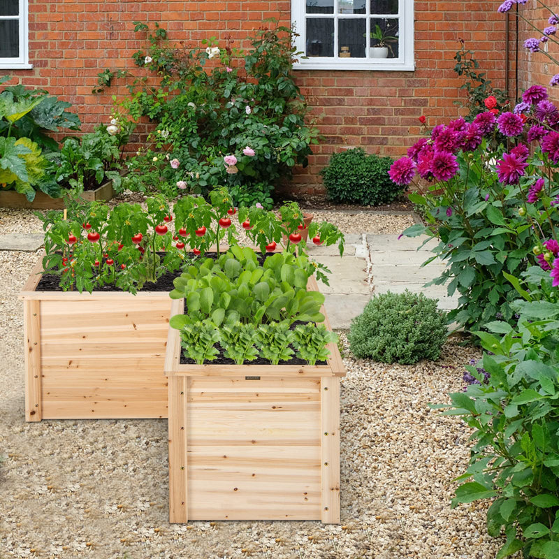 Ashaureah Wood Planter Box