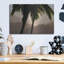 «Misty Palms I» par Dennis Frates-88505120