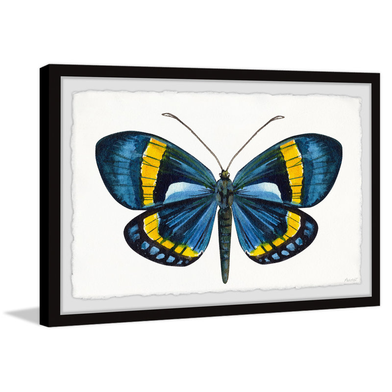 Believe In Your Wings - Single Picture Frame Print, 41cm H x 61cm W x 3.81cm D